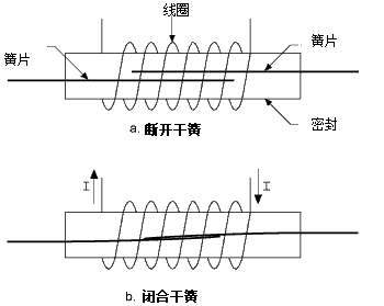 干簧繼電器：電流流經(jīng)線圈而產(chǎn)生磁場(chǎng)，進(jìn)而將兩個(gè)磁簧的觸點(diǎn)拉在一起